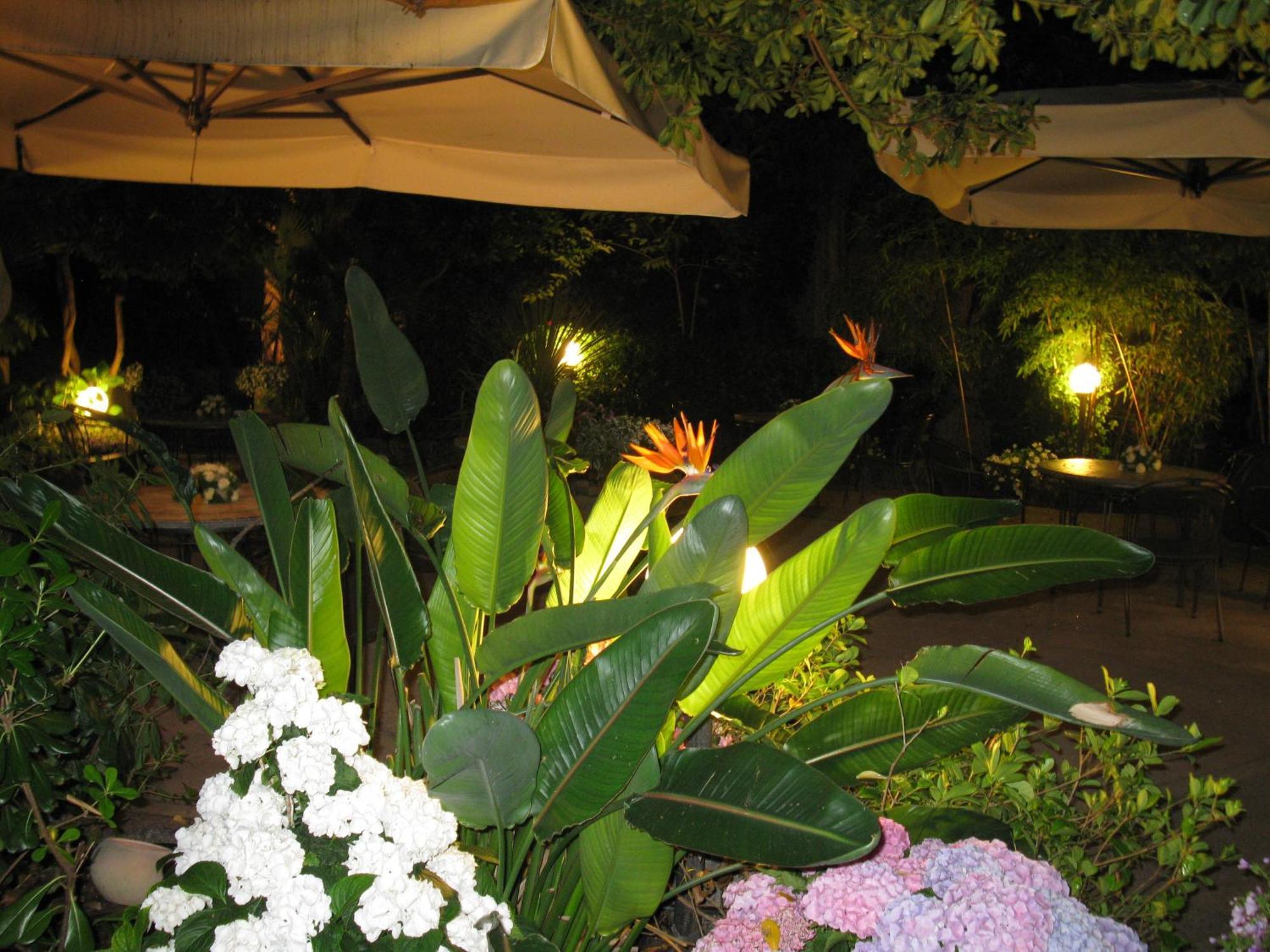 Hotel Miramare Lavagna